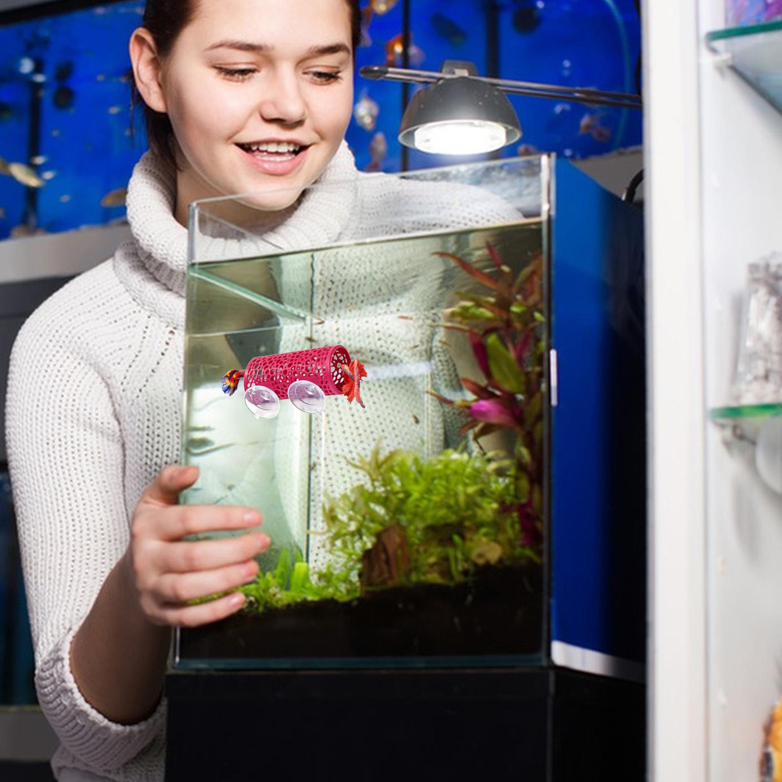 베타 생태 환경 휴식처 장식품 물고기 터널 장난감, 수 - Aquarium Fish Small 리뷰 및 가격