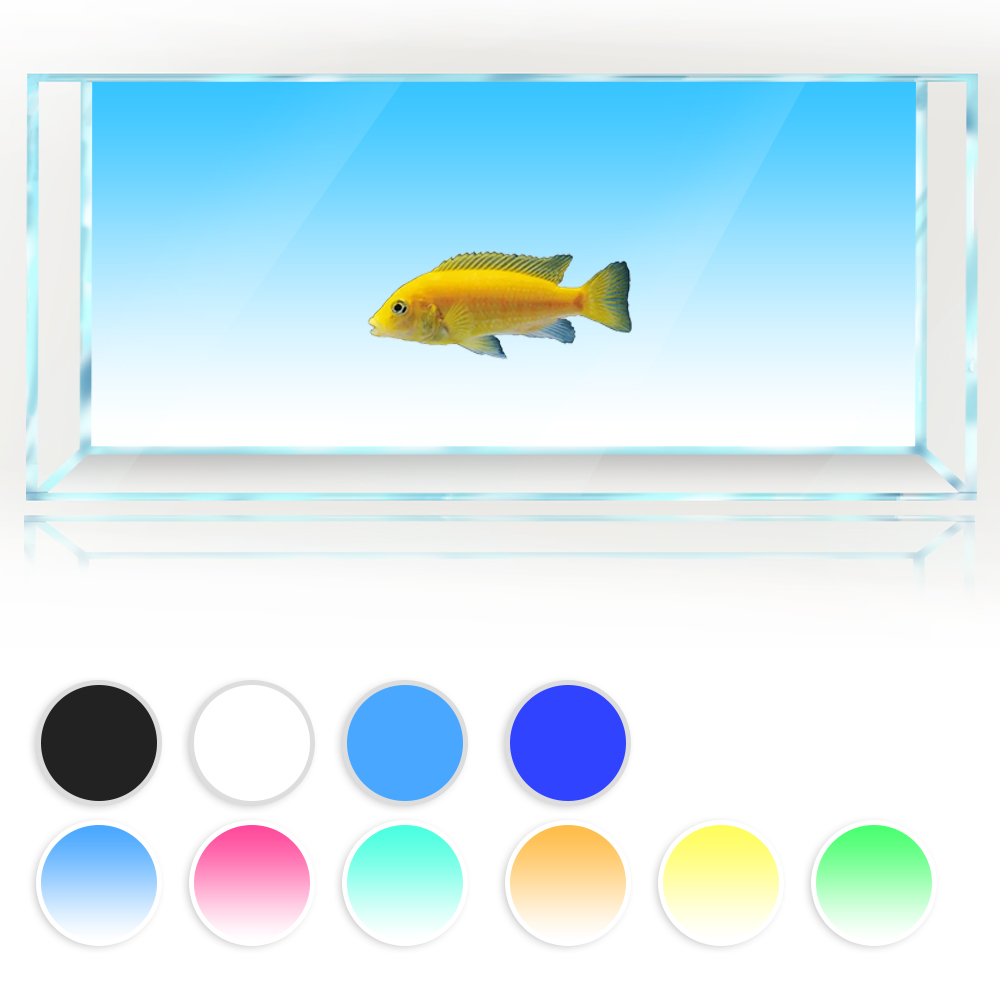 물고기 탱크 배경 흰색 노란색 녹색 파란색 검정색 그라 - Aquarium Fish Yellow And Black 리뷰 및 가격