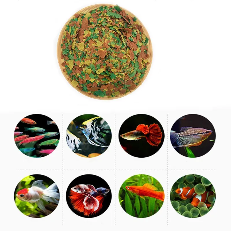 신제품 건강한 어류 사료 플레이크 어류 색상 및 광채  - Fish Food Flake 리뷰 및 가격