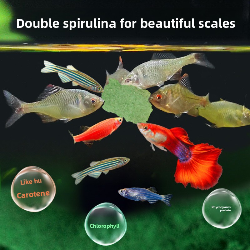 디라 열대어 플레이크, 구피, 테트라, 제브라 다니오, - Fish Food Flake 리뷰 및 가격