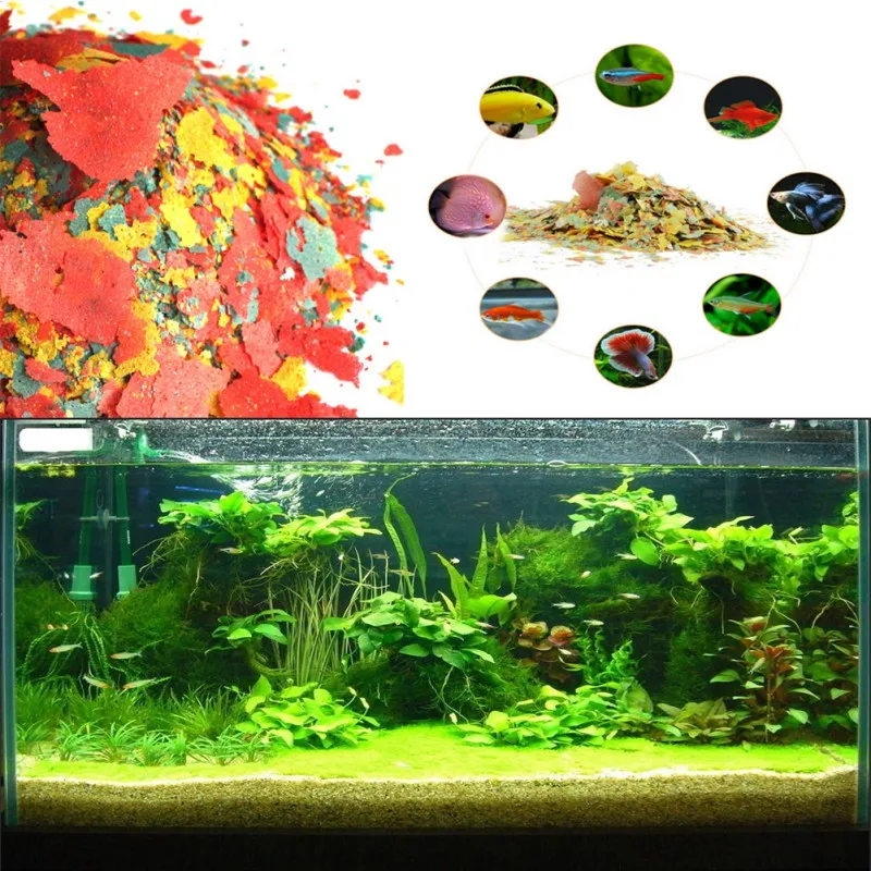 물고기 식품 착색 및 브라이트닝 사료, 고영양 열대어  - Fish Food Flake 리뷰 및 가격