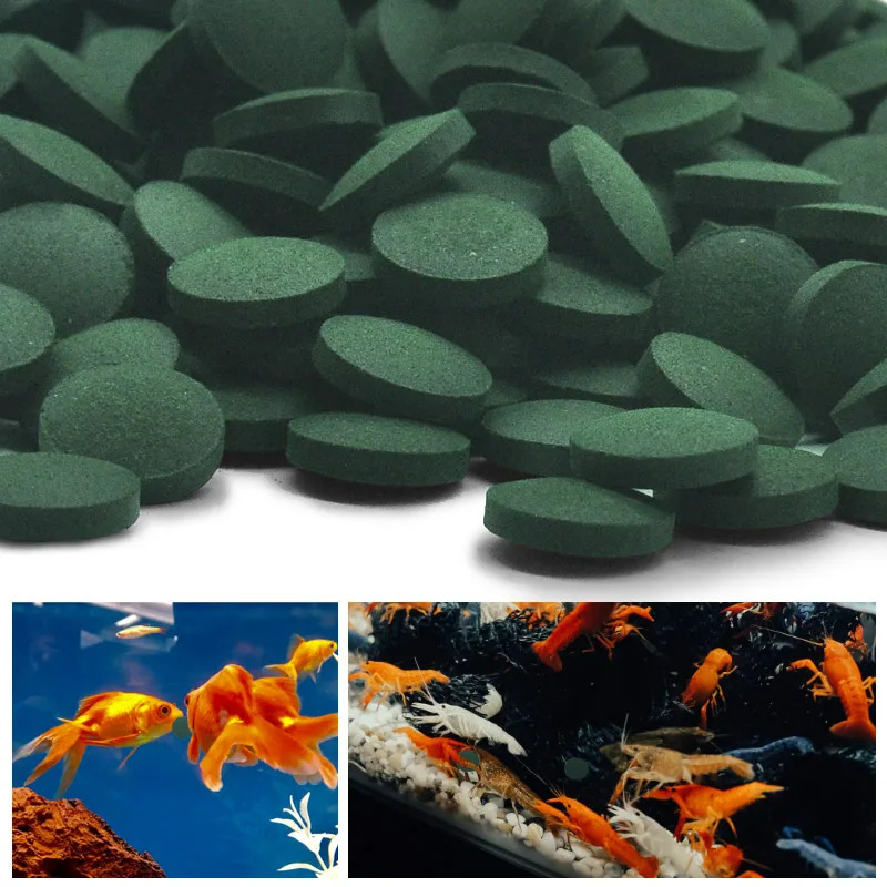100/500/1000개 스피루리나 플레이크 스피루리나 - Fish Food Flake 리뷰 및 가격