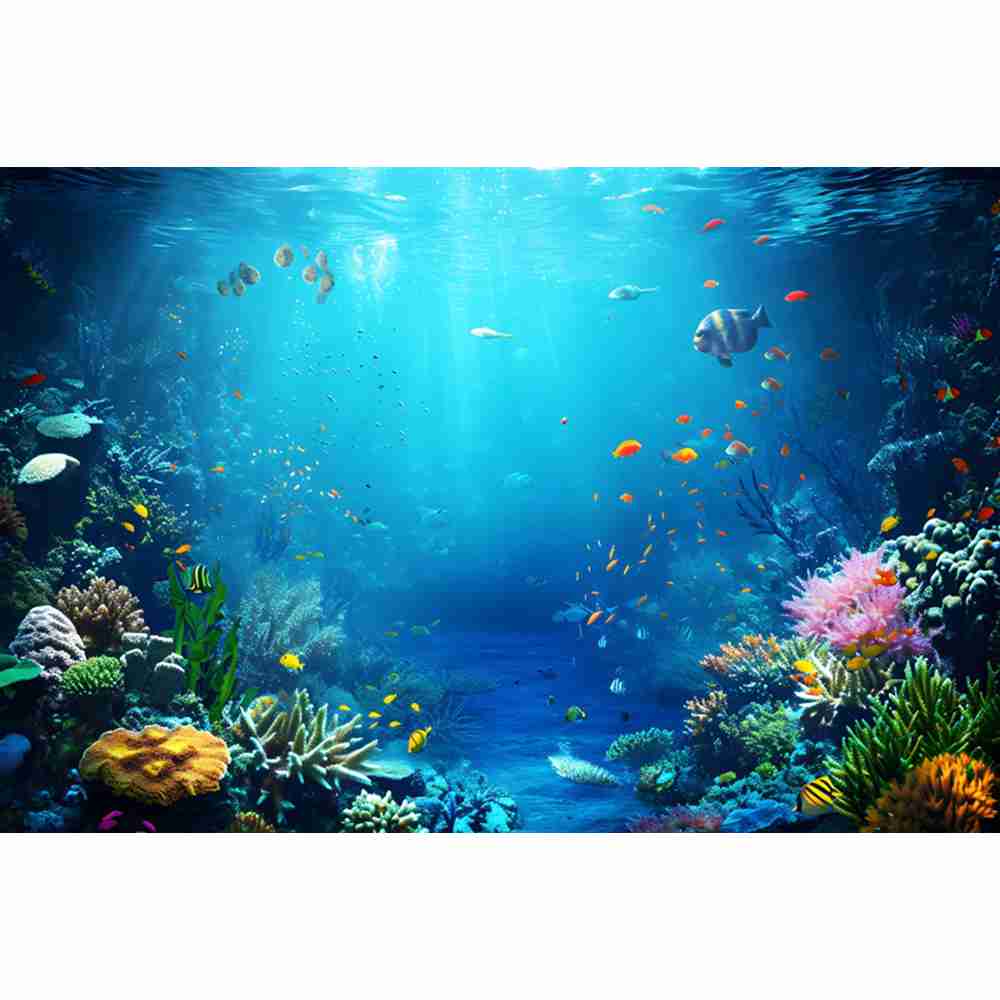 수중 바다 세계 사진 배경 물고기 햇빛 해저 산호 돌고 - Aquarium Fish Dolphin 리뷰 및 가격