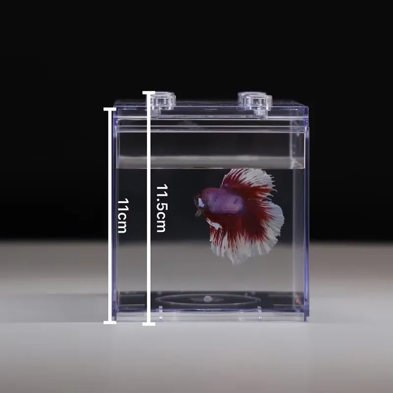 릴랙스라인 미니 수족관 박스 테이블 장식 소형 다기능  - Aquarium Fish Light 리뷰 및 가격