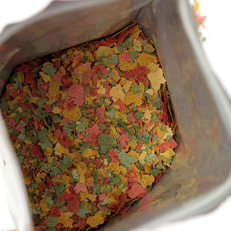 2026 신선한 열대어 플레이크 사료 100g AF 대 - Fish Food Flake 리뷰 및 가격