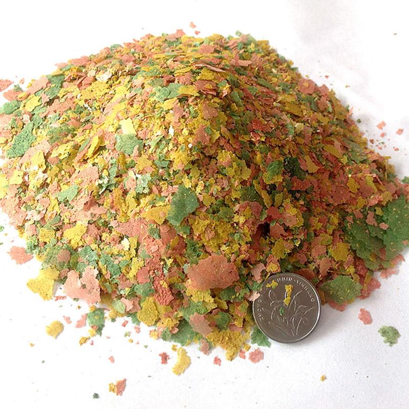 관상어 얇은 조각 음식 열대 물고기 사료 다채로운 물고 - Fish Food Flake 리뷰 및 가격