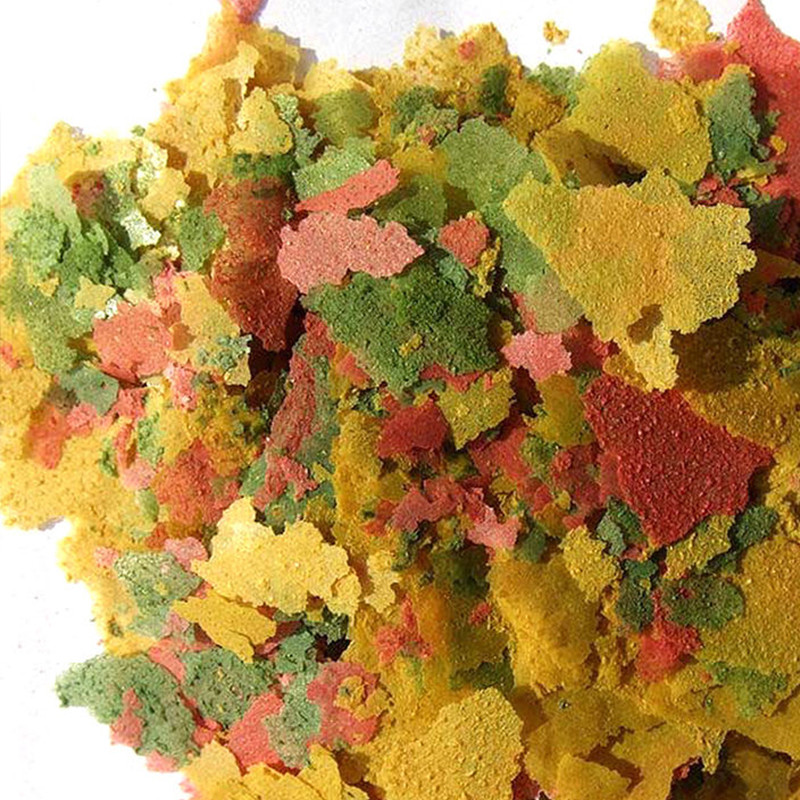 관상어 얇은 조각 음식 열대 물고기 사료 다채로운 물고 - Fish Food Flake 리뷰 및 가격